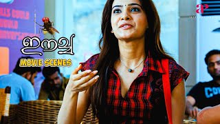 Eecha Malayalam Movie  Samantha learns about Nanis reincarnation  Nani  Samantha  Sudeep [upl. by Oivatco]