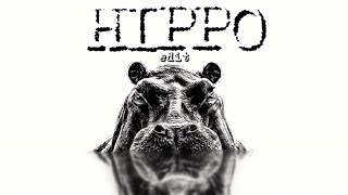 HIPPO  edit Africa [upl. by Rance990]