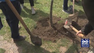 Springfield to thank medical workers at treeplanting ceremony [upl. by Gratia644]