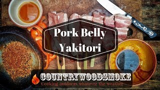 Pork Belly Yakitori 焼き鳥  Cooked on A Konro Grill [upl. by Dahaf]