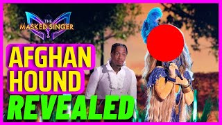 Afghan hound Masked Singer Revealed [upl. by Latyrc]