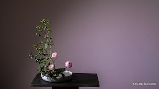 How to make Ikebana   Free Online Class [upl. by Salb533]