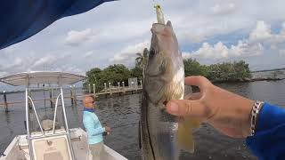 Caloosahatchee River Fishing by Boat [upl. by Gwyn]