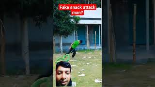 Fake snack attack man funny prank laughing cobra fact mdmahmud [upl. by Goldsmith]