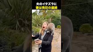 よく離婚しないで済んでるねw海外の反応 海外のリアクション 外国人 おもしろ動画 爆笑動画 笑える バズった動画 癖が強い shorts ドッキリ [upl. by Vary]