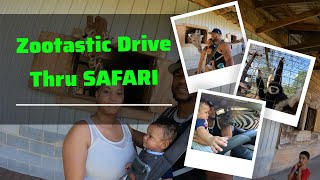 Zootastic Drive Thru SAFARI  Charlotte NC charlotte vlog zoo [upl. by Yekciv857]