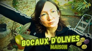 27  COMMENT FAIRE DES OLIVES EN SAUMURE MAISON  YTB27mp4 [upl. by Aninad]