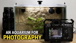 Building an Aquarium for Fish Photography [upl. by Nabru663]