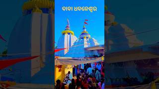 କଳା ବଳଦ କୁ ଧଳା କରିଦେଲେ Baba Dhabaleswar mahadevmahakalshivshortsyoutubeshorts [upl. by Annawyt643]