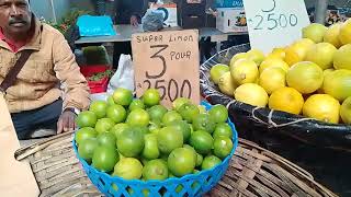 Vegetables Fish and Chicken Market at Quatre Bornes Mauritius 🦤 [upl. by Darell]