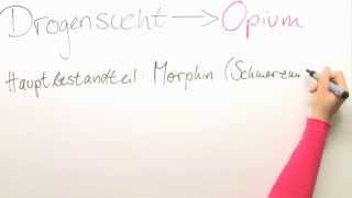 Drogensucht Opium  Biologie  Neurobiologie [upl. by Jt]