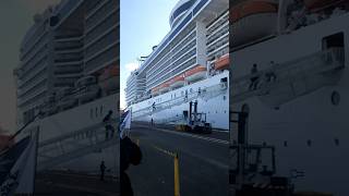 MSC Preziosa😯 luxurycruise cruiseship cruiselovers travel cruisegoals europe cruiselife [upl. by Yevi]