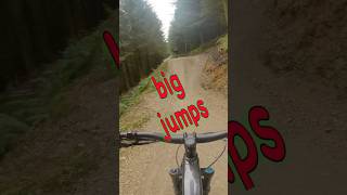 Llandegla forest new mtb jump line shorts freeride [upl. by Zul]