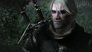 The Witcher 3 when you have the best build in the game [upl. by Anier]