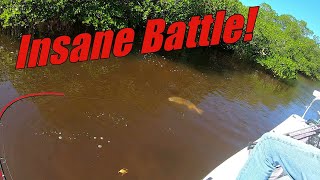 Fishing The Marshes in Matlacha for Redfish Snook and Trout [upl. by Kathy]