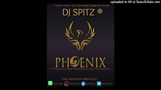 Dj Spitz Phoenix FALLIN IN LOVE Riddim Mix [upl. by Adrienne]