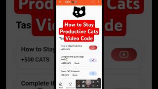 How to Stay Productive  Cats Verification Code  Cats Youtube Video Code  6 October [upl. by Ayeki]