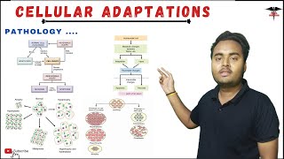 Cellular Adaptation  Cell Injury  Pathology  Chill Medicos [upl. by Ydner989]