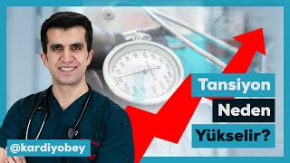 Tansiyon neden yükselir Yüksek tansiyon nedir [upl. by Bunow]