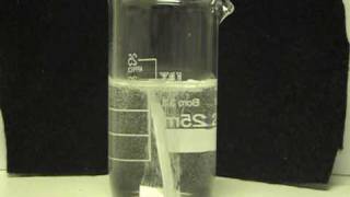 Magneisum and 35 Acetic Acid Vinegar [upl. by Hummel574]