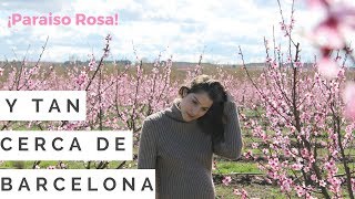 Pueblos bonitos cerca de Barcelona Aitona Lleida y Paraiso Rosado  Rosa Virginia [upl. by Wilkey]