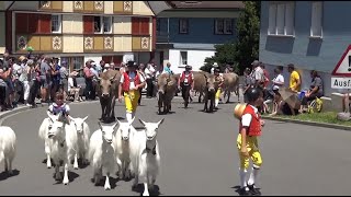 Umzug Jodlerfest Appenzell 2022 [upl. by Anawahs245]