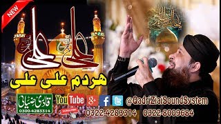 Ehle Nazar Ki Aankh Ka Tara Ali Ali  Owais Raza Qadri  By Qadri Ziai Production [upl. by Ysiad874]