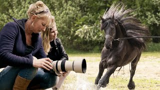 Paarden FOTOGRAFEREN in ACTIE met Martine  How Its Made  Zoomnl  11 [upl. by Jarrod]