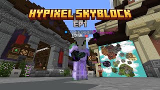 Hypixel Skyblocks EP1 END FARMING [upl. by Guglielma]