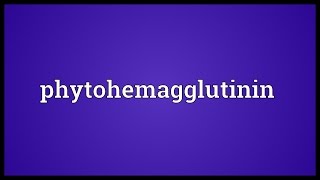 Phytohemagglutinin Meaning [upl. by Tabb253]