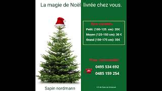 Sapin de Noel  Le choix du sapin de Noel [upl. by Oech104]