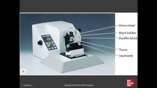 1 Histology amp its Methods of Study [upl. by Qahsi61]