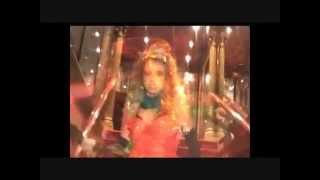 Lady Marmalade  The Real Fake Videoclip UA [upl. by Schmitz53]