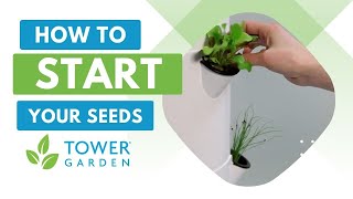 Start Seeds and Transplant Seedlings on Your Tower Garden® [upl. by Polivy]