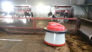 2 Lely A4s Lely Discovery amp Lely Juno hard at work [upl. by Nollat550]