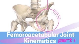 Hip Joint Biomechanics Femoroacetabular Joint Kinematics Open Kinematic Chain [upl. by Leirbaj158]