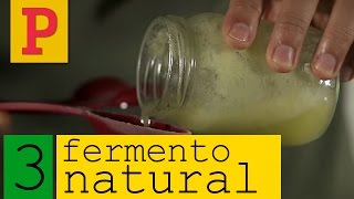 Como fazer fermento natural  Vídeo 3 [upl. by Hcahsem]