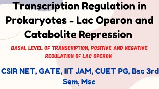 Transcription Regulation in Prokaryotes  Lac Operon and Catabolite repression msc csirnet bsc [upl. by Htyderem]