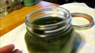 Chickweed Plantain and Comfrey Salve pt 2 [upl. by Alfreda]