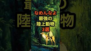 最強の陸上動物3選 雑学 動物 生物 地球 最強 草食 [upl. by Yenor]