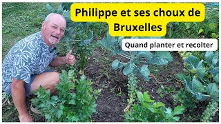 Les choux de bruxelles  bien planter et les réussir au jardin [upl. by Beisel948]