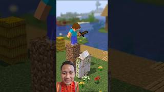 steve hited iron golem from above minecraft minecraftgameplay shorts games [upl. by Brost]