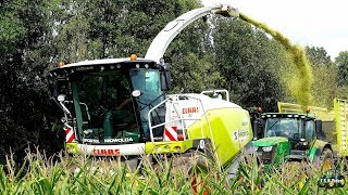 Eerste mais 2018 Loonbedrijf Sportel met Claas Jaguar 950 [upl. by Ailhad397]