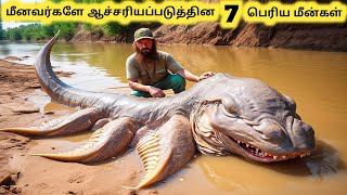 மிகப்பெரிய மீன்கள்  Seven Biggest Fish Catches Of All Time  Tamil Info Share [upl. by Voss]