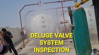 Deluge Valve System Inspection [upl. by Anees]