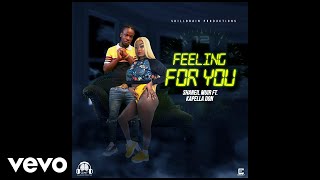 Shaneil Muir Kapella Don  Feeling For You Audio Visual [upl. by Nwaf255]