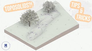 Toposolid Essential Tips and Tricks [upl. by Charmian468]