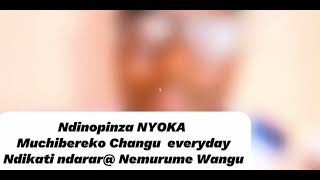 NDINOPINZA NYOKA MUCHIBEREKO EVERYDAY NDISATI NDARAR NEMURUME WANGU [upl. by Bashemeth]