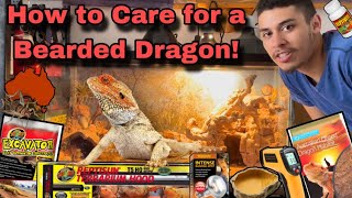 How to Care for a Bearded Dragon [upl. by Pallaton64]