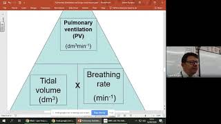 Pulmonary Ventilation in the Lungs  A level Biology [upl. by Sixel]